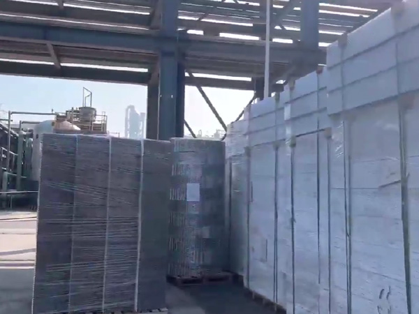 四川福華集團  二乙酯項目，塔內(nèi)件，填料